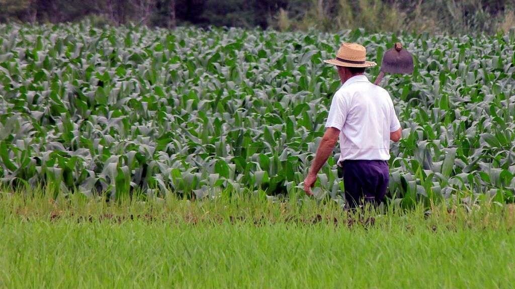 PL dá prioridade da vacinação contra Covid para agricultores