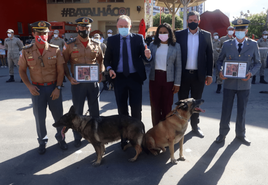 Corpo de Bombeiros do ES realiza formatura de novos sargentos e reforma de cães militares