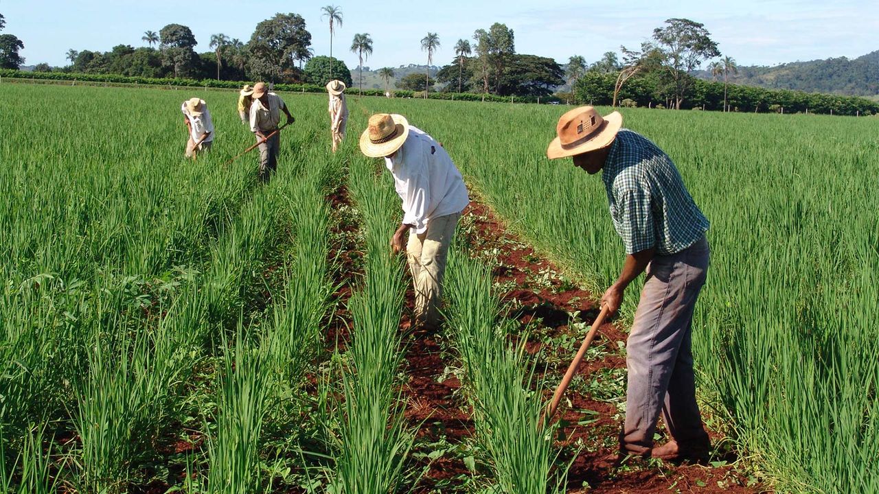 Ales reconhece importância de agricultores em sessão solene