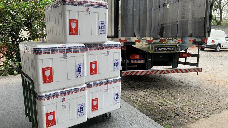 Mais 300 mil doses da CoronaVac compradas pelo Governo chegam ao Estado