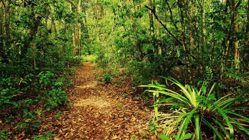 Parque Estadual de Itaúnas realiza caminhada e passeio ciclístico para inaugurar nova trilha