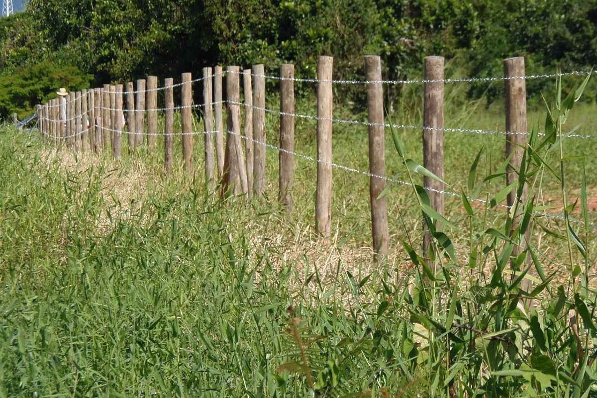 Projetos miram ocupação irregular de terras