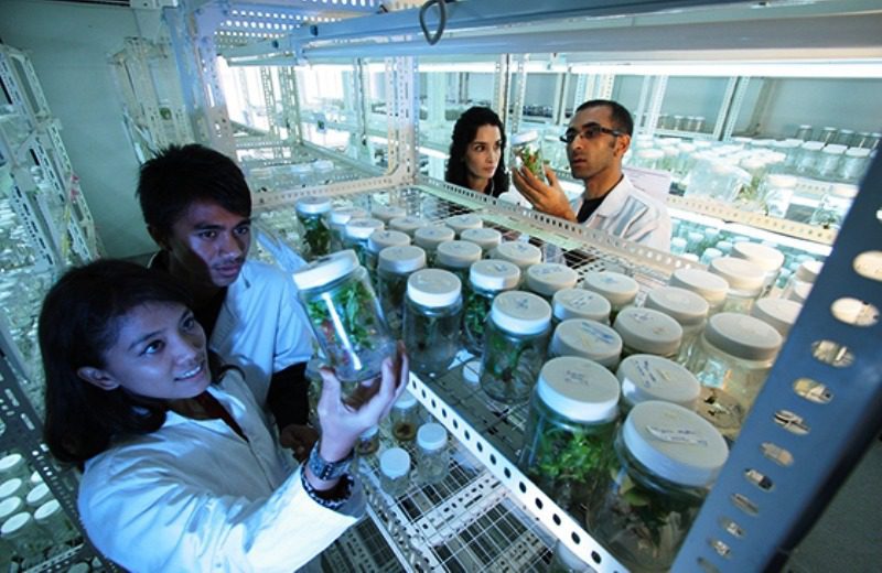 Residência Ambiental terá novas regras