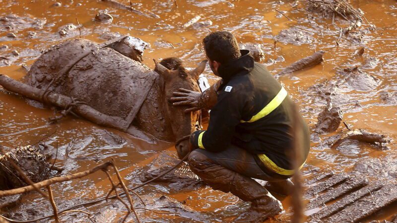 Desaceleração nas Negociações de Reparação no Caso Samarco em 2023