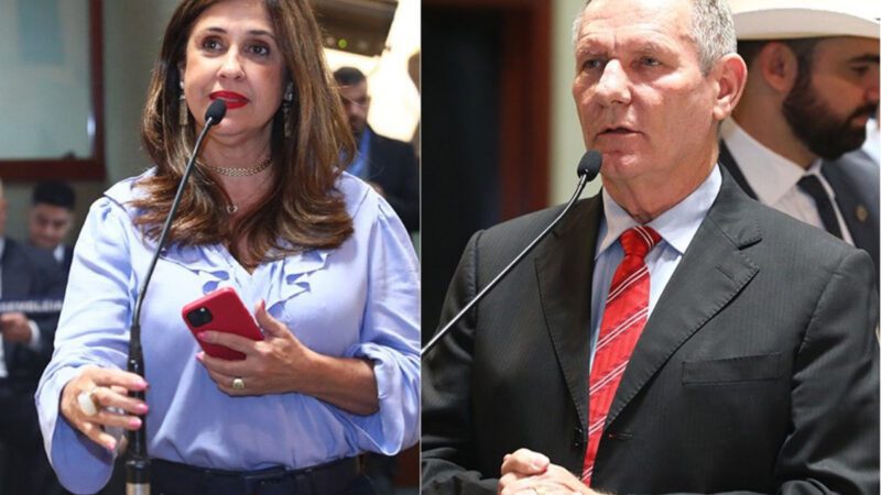 Iniciativas garantem doulas em maternidades
