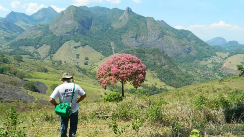 Último dia para se inscrever no concurso do Idaf
