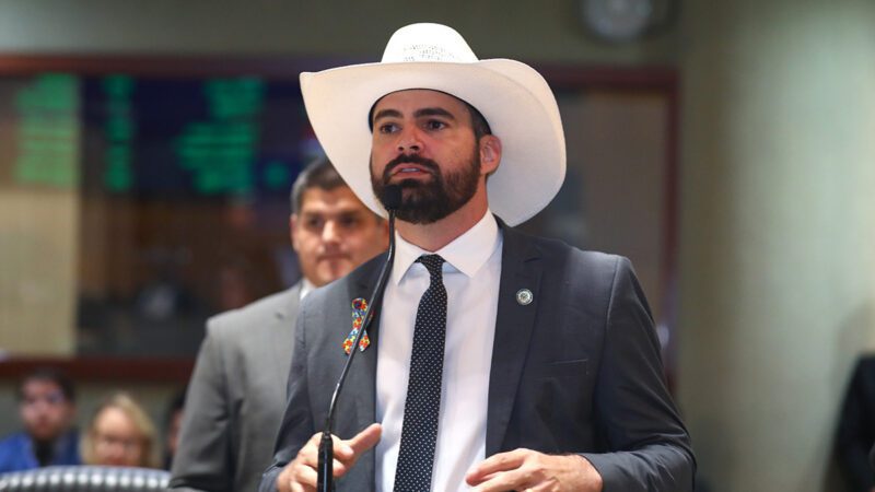 Proposta visa estimular plantio de árvores no ES