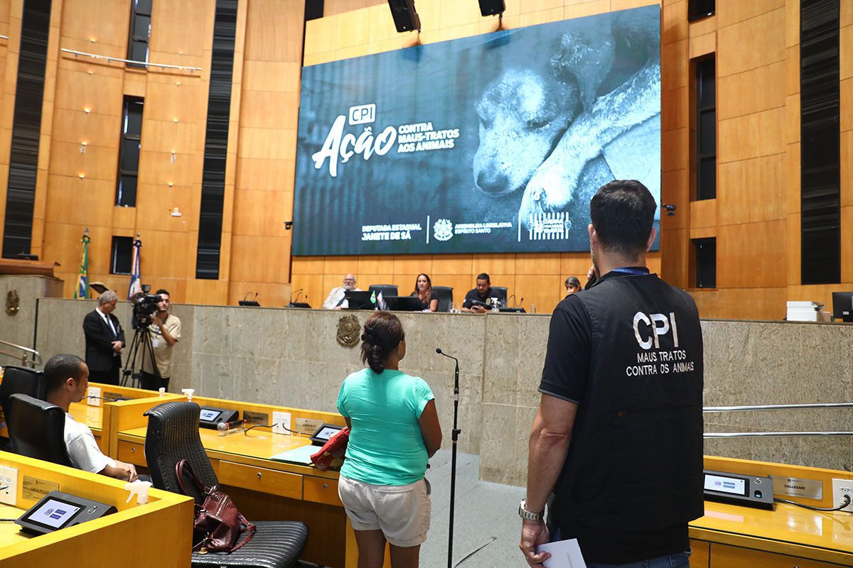 CPI quer inquérito para apurar maus-tratos a cão