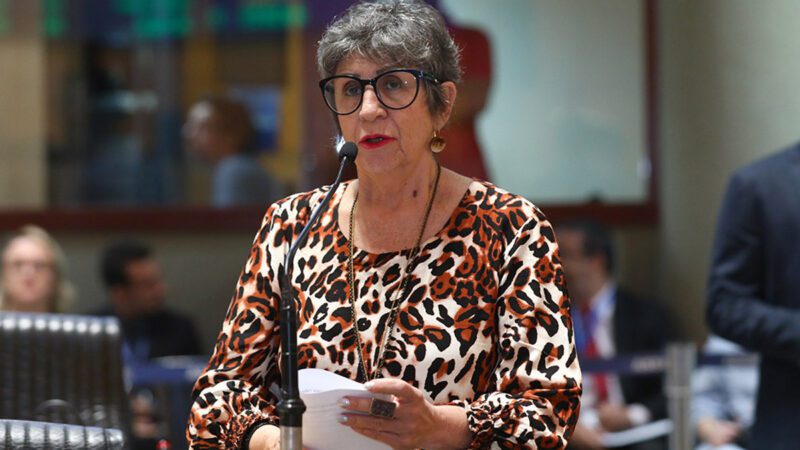 Iriny propõe programa de incentivo a atores negros