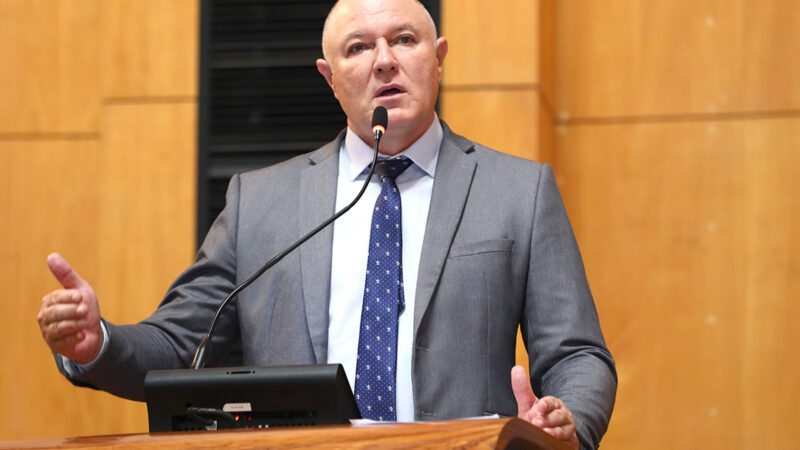 Ales aprova alteração na legislação referente a bens imateriais