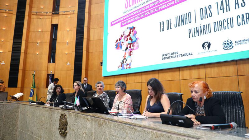 Em pauta, a atuação dos conselhos na defesa dos direitos das mulheres