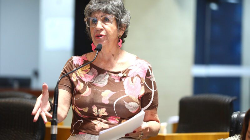 Iniciativa alerta para violência de gênero