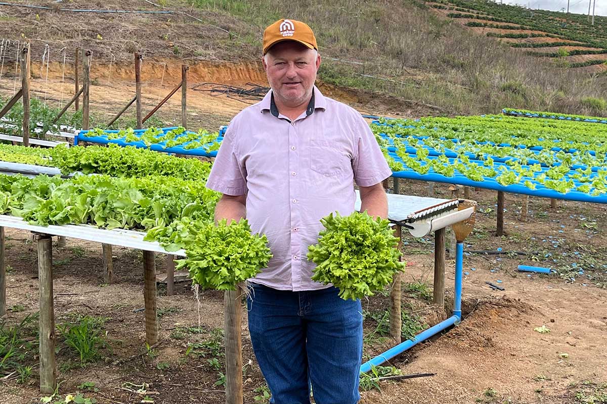 Agricultura sustentável: hidroponia transforma produção em Vila Valério
