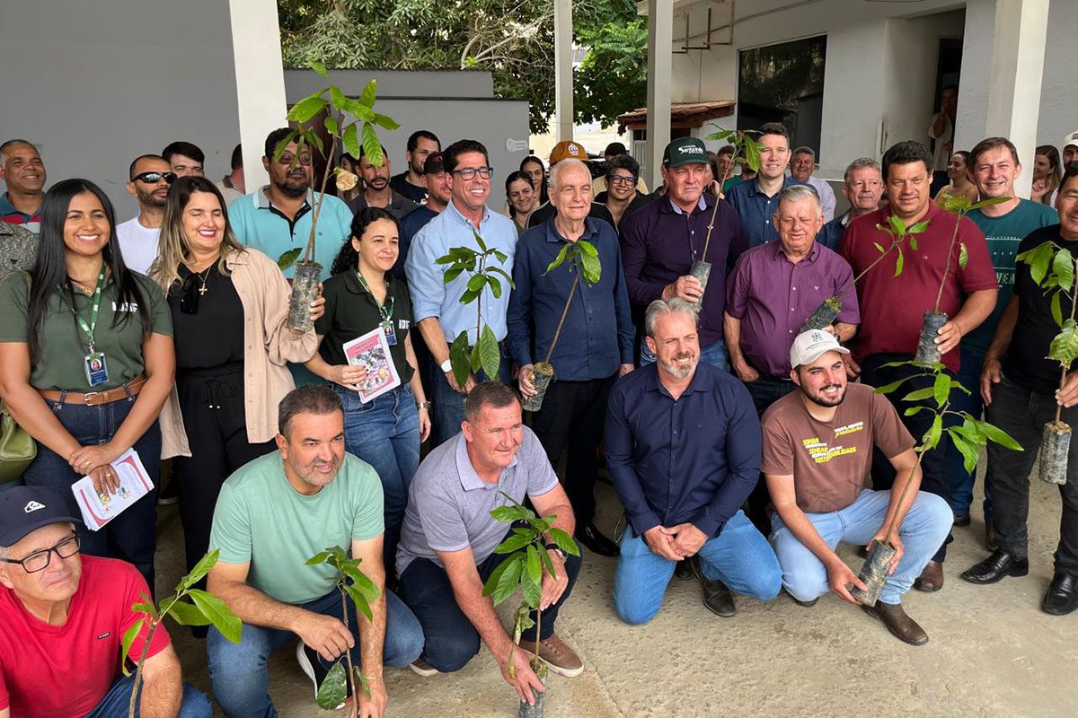 Mais de 1.500 mudas de cacau são entregues a produtores de Vila Pavão