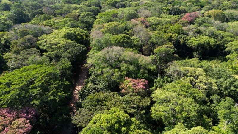 Comissão acolhe projeto que atualiza tabela de taxas do Idaf