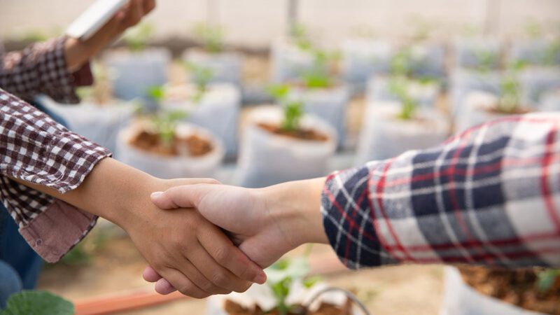 Nova lei fortalece e atualiza a política de cooperativismo no Espírito Santo