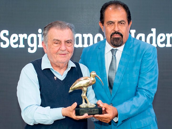 Câmara de Guarapari homenageia Sérgio Borges com o Guará de Ouro por serviços prestados ao município