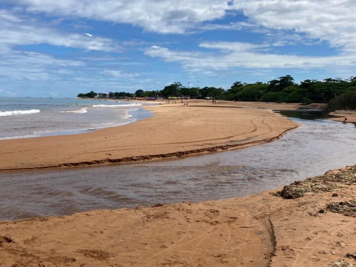 Esgoto ameaça Manguinhos e moradores cobram parque natural