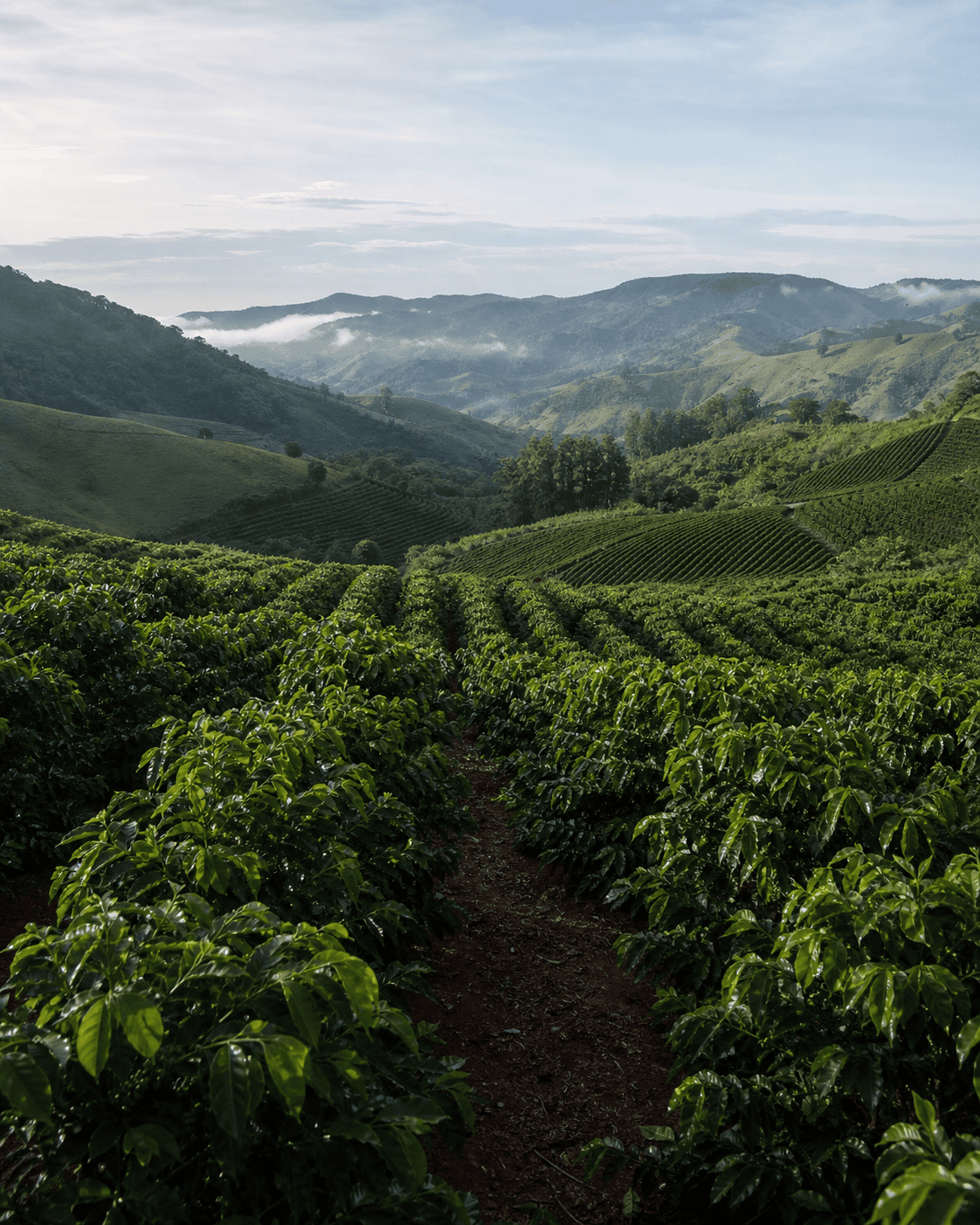 Governo do ES libera R$ 10 bilhões em crédito para o agro na safra 26/27