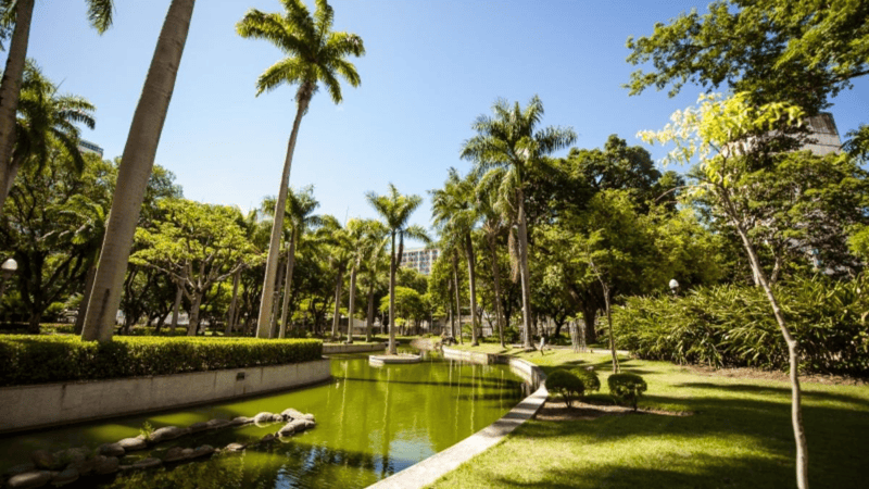 Vitória terá Praça Inclusiva no Parque Moscoso