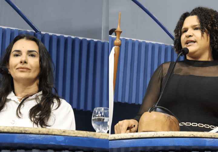 Câmara de Vitória debate vagas e proteção nas escolas