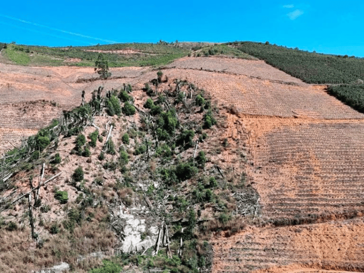 ES embarga 80 hectares desmatados para atividades agrícolas