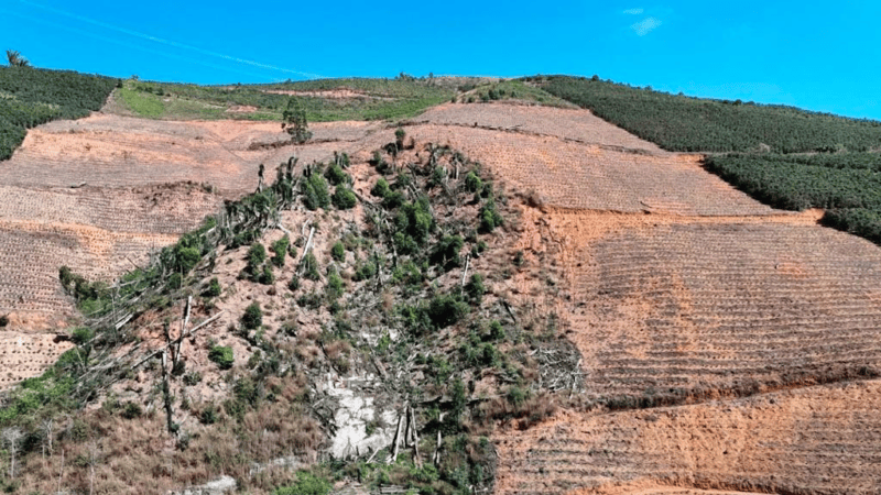 ES embarga 80 hectares desmatados para atividades agrícolas