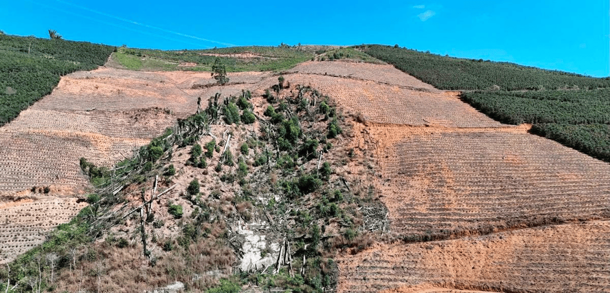 ES embarga 80 hectares desmatados para atividades agrícolas