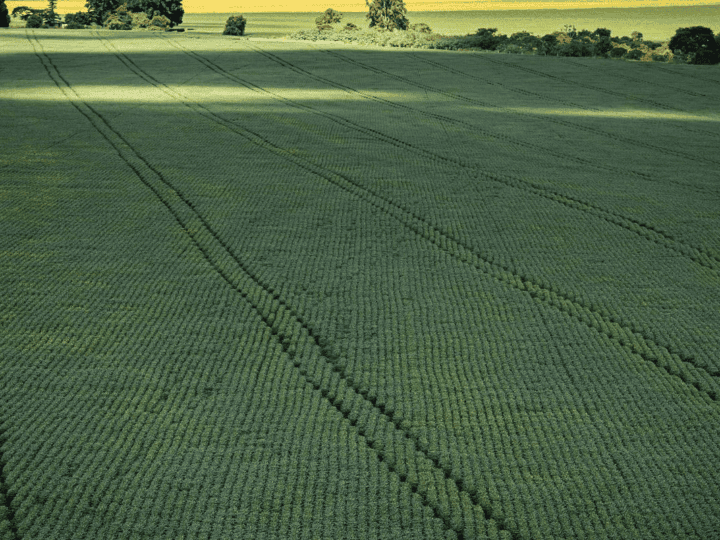 Senado aprova plano para fabricação de fertilizantes