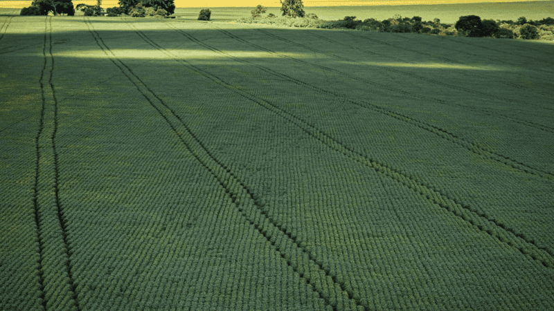 Senado aprova plano para fabricação de fertilizantes