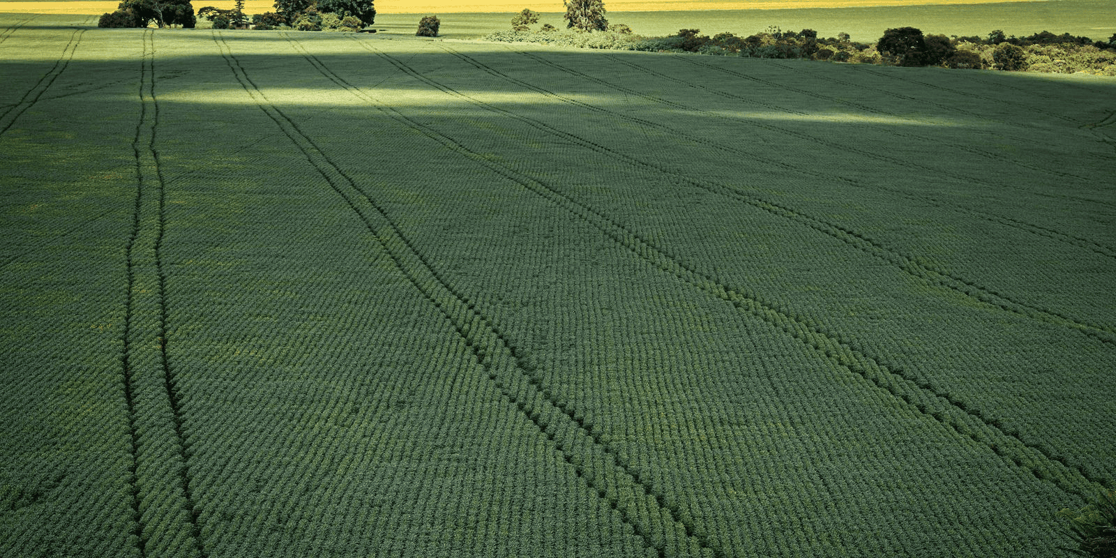 Senado aprova plano para fabricação de fertilizantes