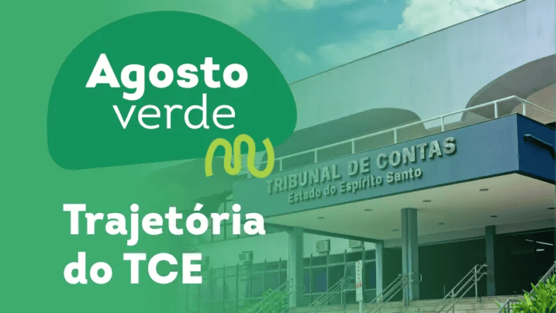 TCE-ES amplia agenda de controle externo para a primeira infância