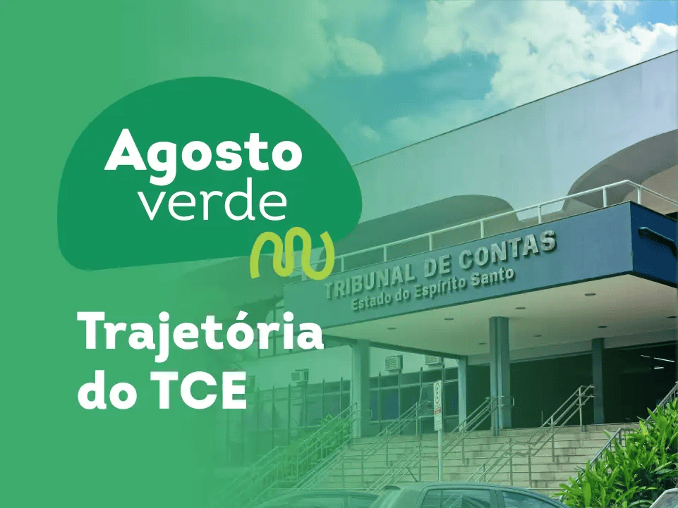 TCE-ES amplia agenda de controle externo para a primeira infância