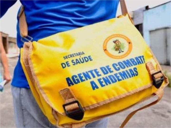 TCE-ES cobra plano para substituir temporários da Saúde em Viana