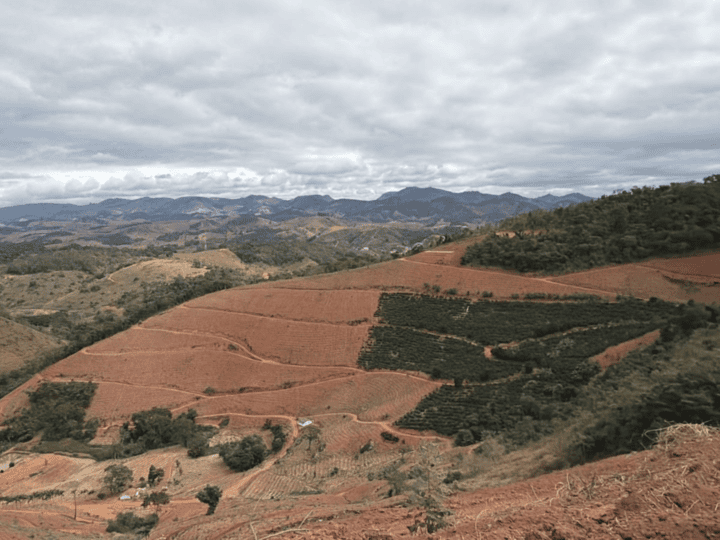 Operação contra desmatamento embarga 80 hectares de Mata Atlântica no ES