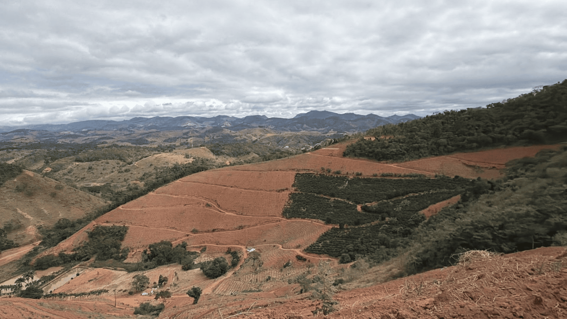 Operação contra desmatamento embarga 80 hectares de Mata Atlântica no ES