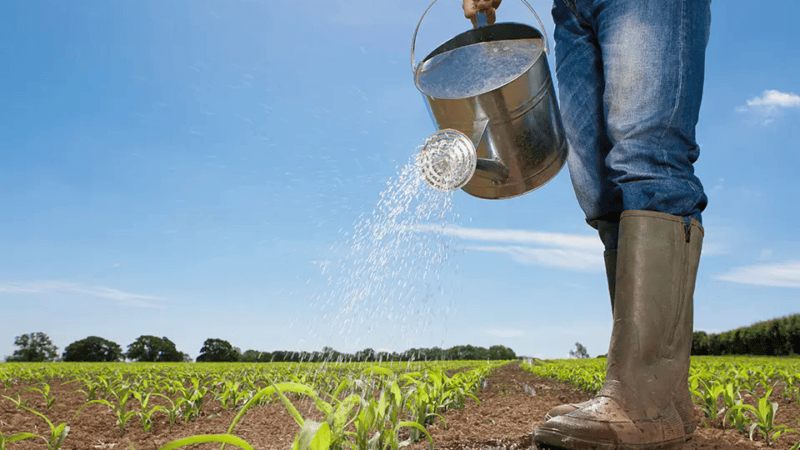 TCE-ES recomenda campanhas e simulados para enfrentar riscos do El Niño
