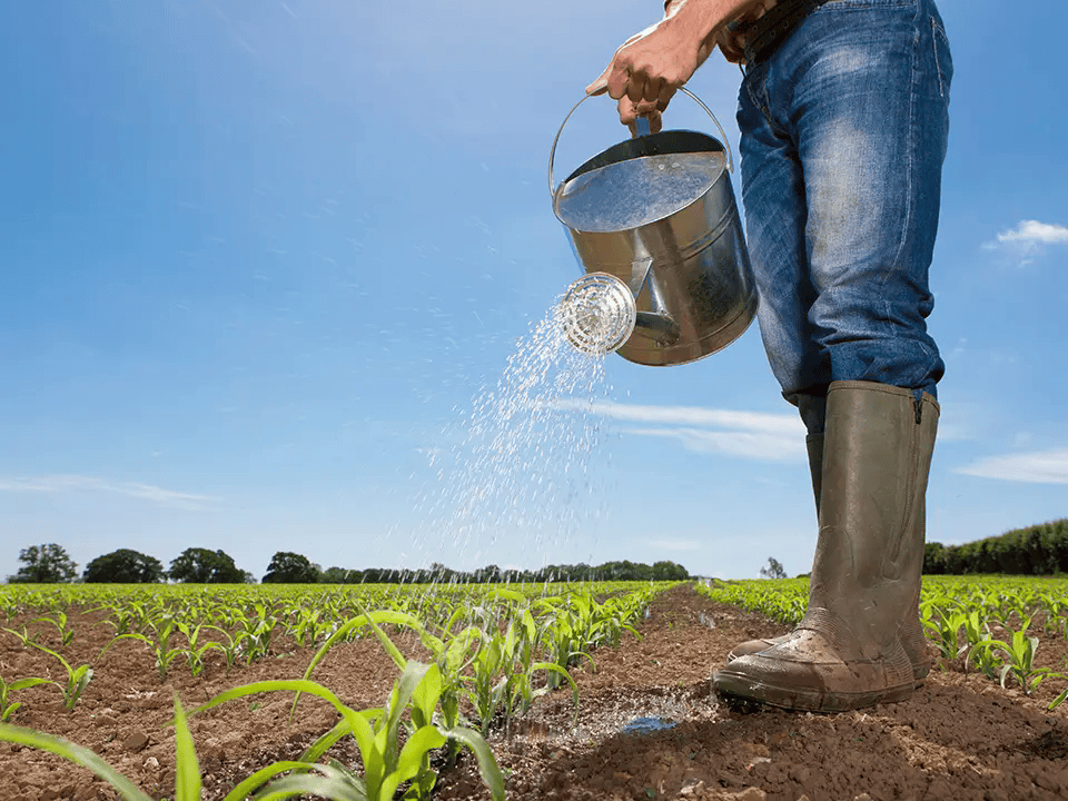 TCE-ES recomenda campanhas e simulados para enfrentar riscos do El Niño
