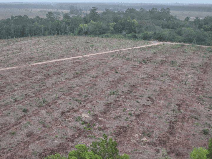 GWM prevê licença ambiental para fábrica de Aracruz até março de 2027
