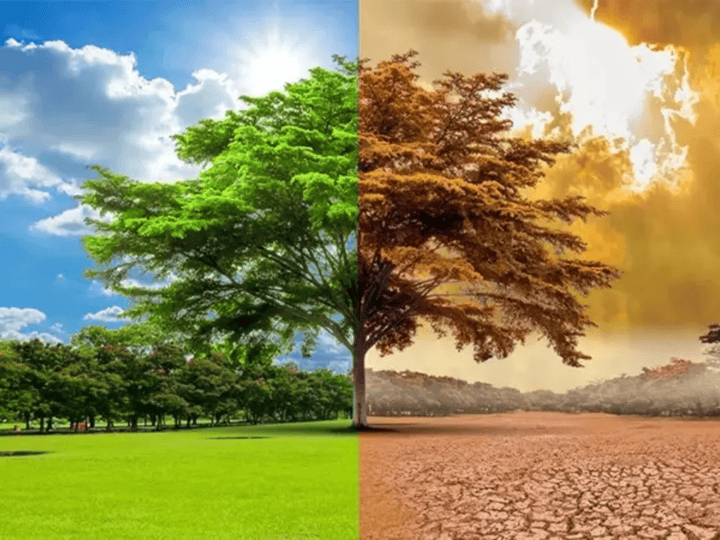 TCE-ES manda Vitória concluir plano climático em 24 meses