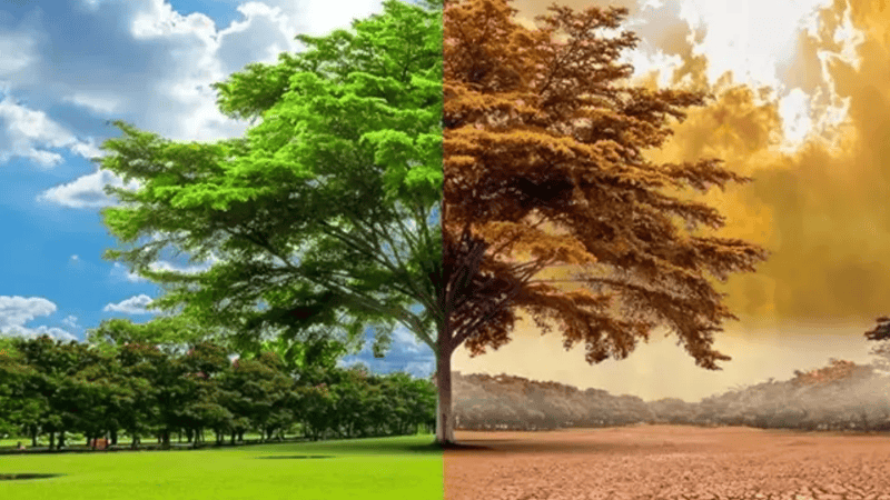 TCE-ES manda Vitória concluir plano climático em 24 meses