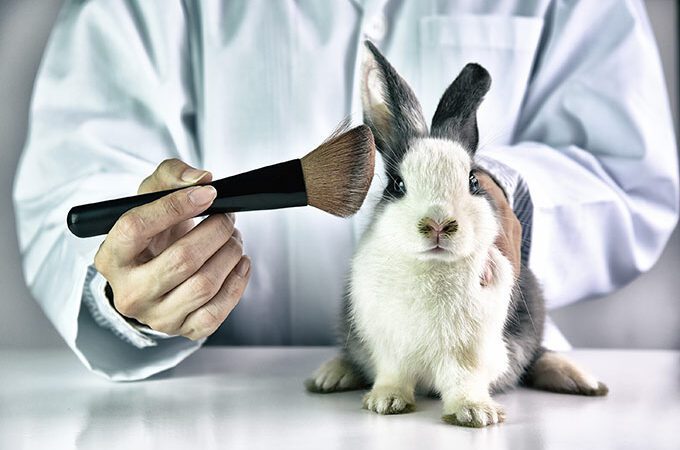 Fim de testes em animais tramita em urgência