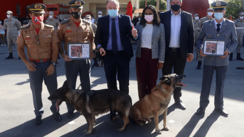 Corpo de Bombeiros do ES realiza formatura de novos sargentos e reforma de cães militares