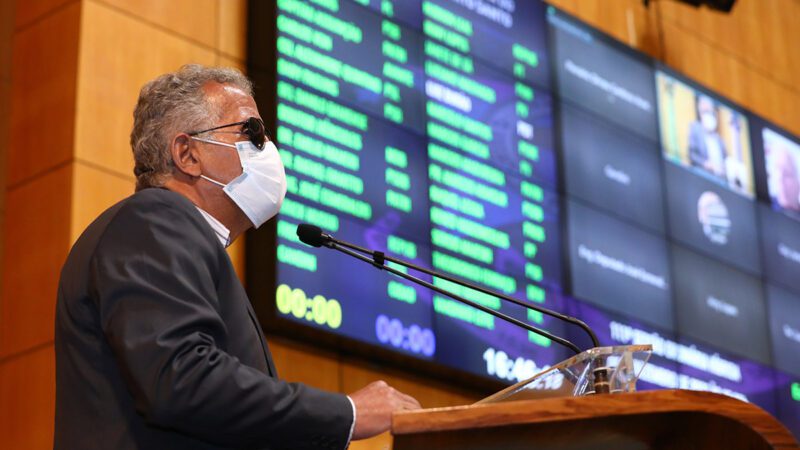 Importância do eucalipto é pauta na Tribuna da Ales