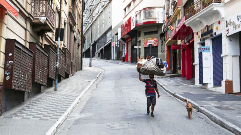 Abrigos deverão acolher animais no Espírito Santo