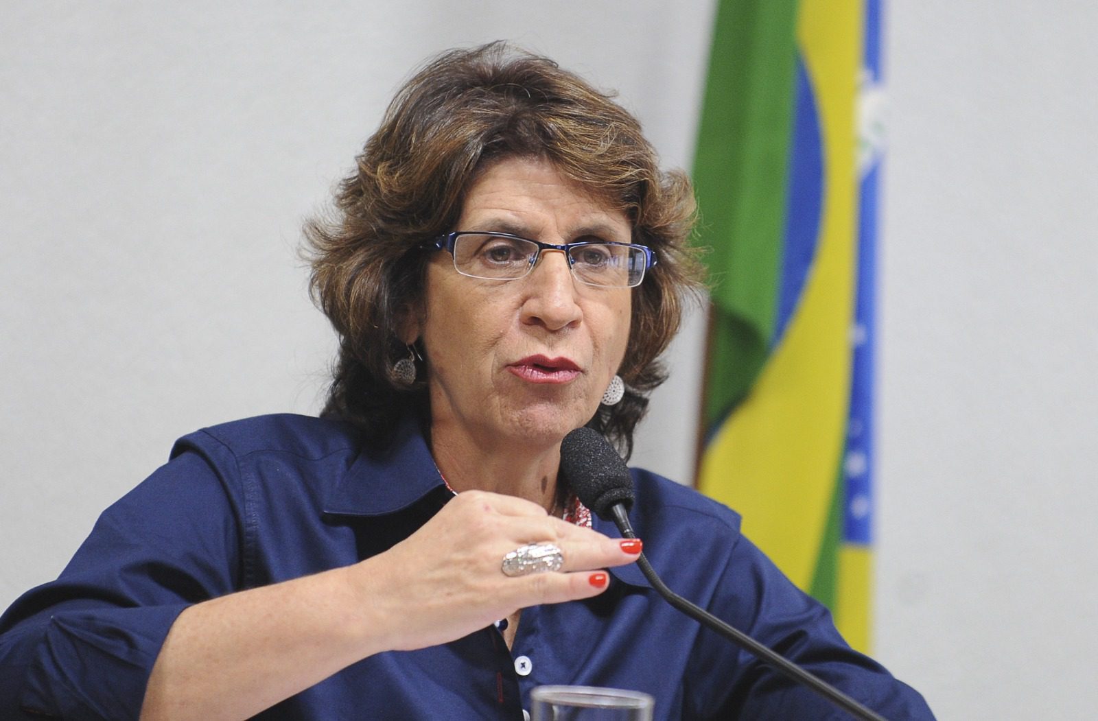 Iniciativa de Iriny Lopes alerta sobre segurança em portos
