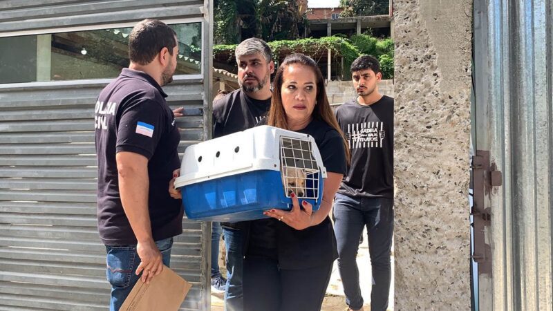 CPI resgata cães em canil clandestino em Viana