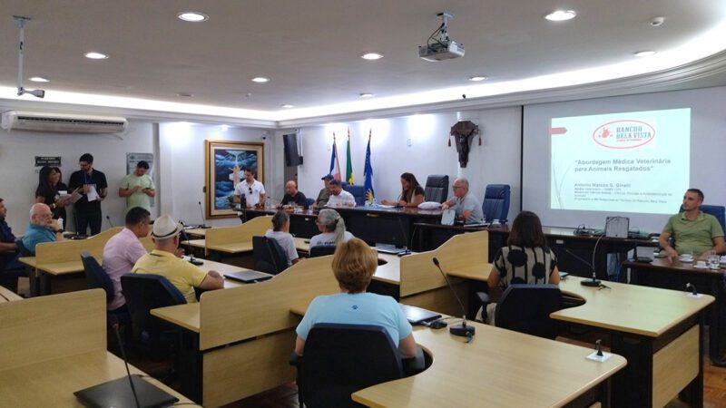 Debate em Cachoeiro aborda questões de resgate de animais e zoonoses