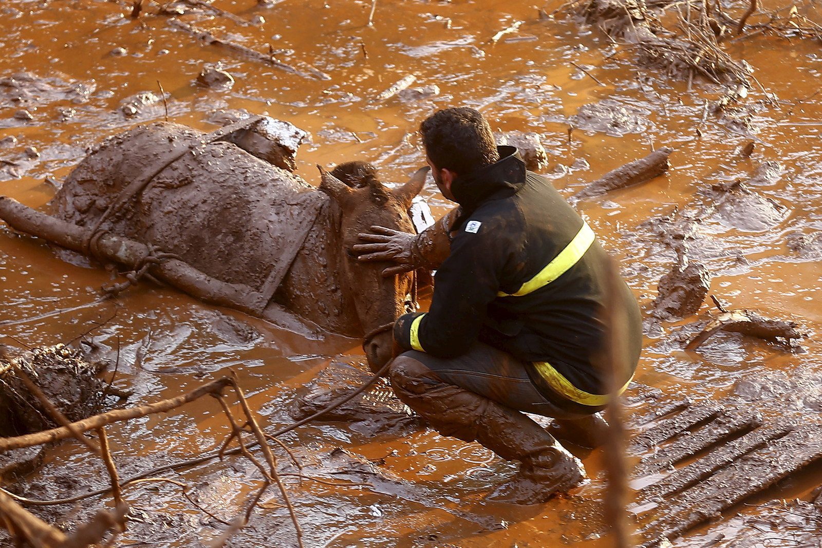 Desaceleração nas Negociações de Reparação no Caso Samarco em 2023