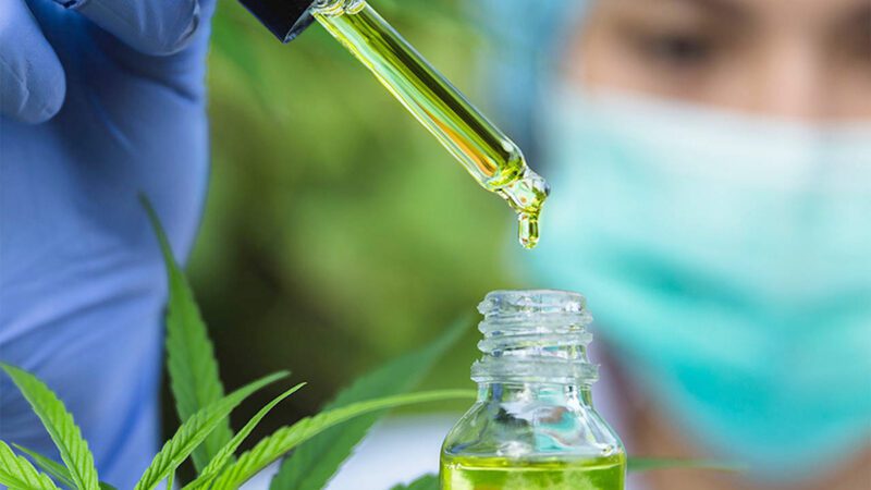 Cannabis medicinal é tema de audiência na Ales